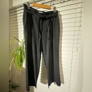 Aritzia Babaton black crop pants. Size 2. Inseam 23 inches